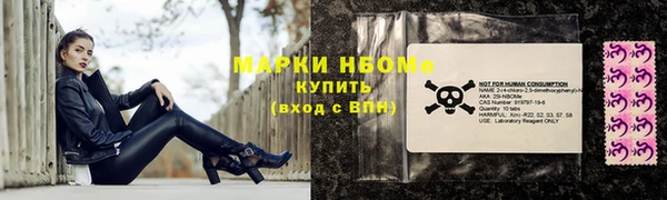 молекула духа Арсеньев