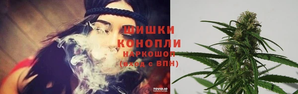 прущие крисы Баксан