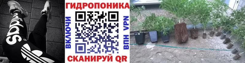 хочу   Облучье  Бошки марихуана Ganja 